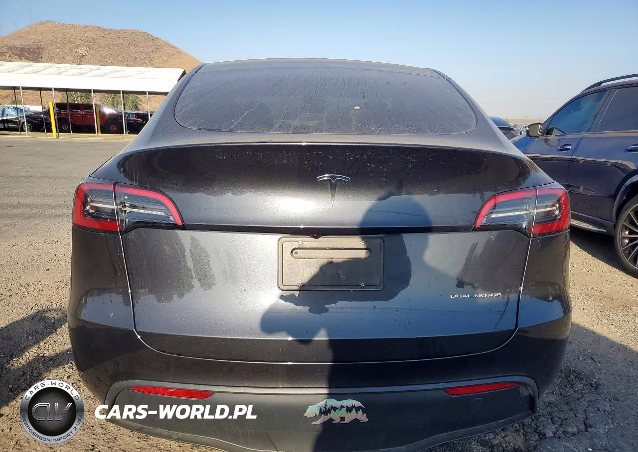 2025 Tesla Model Y VIN:7SAYGDEE0SF216643 - 6