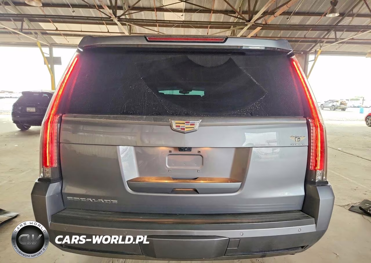 2019 Cadillac Escalade Esv Premium Luxury VIN:1GYS4JKJ4KR168595 - 6
