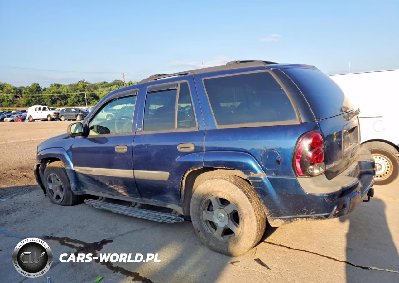 2004 Chevrolet Trailblazer Ls VIN:1GNDT13S442331032 - 2