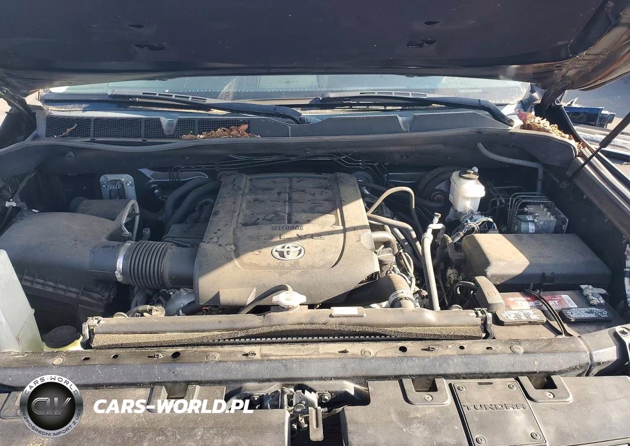 2021 Toyota Tundra Platinum VIN:5TFAY5F15MX011616 - 11