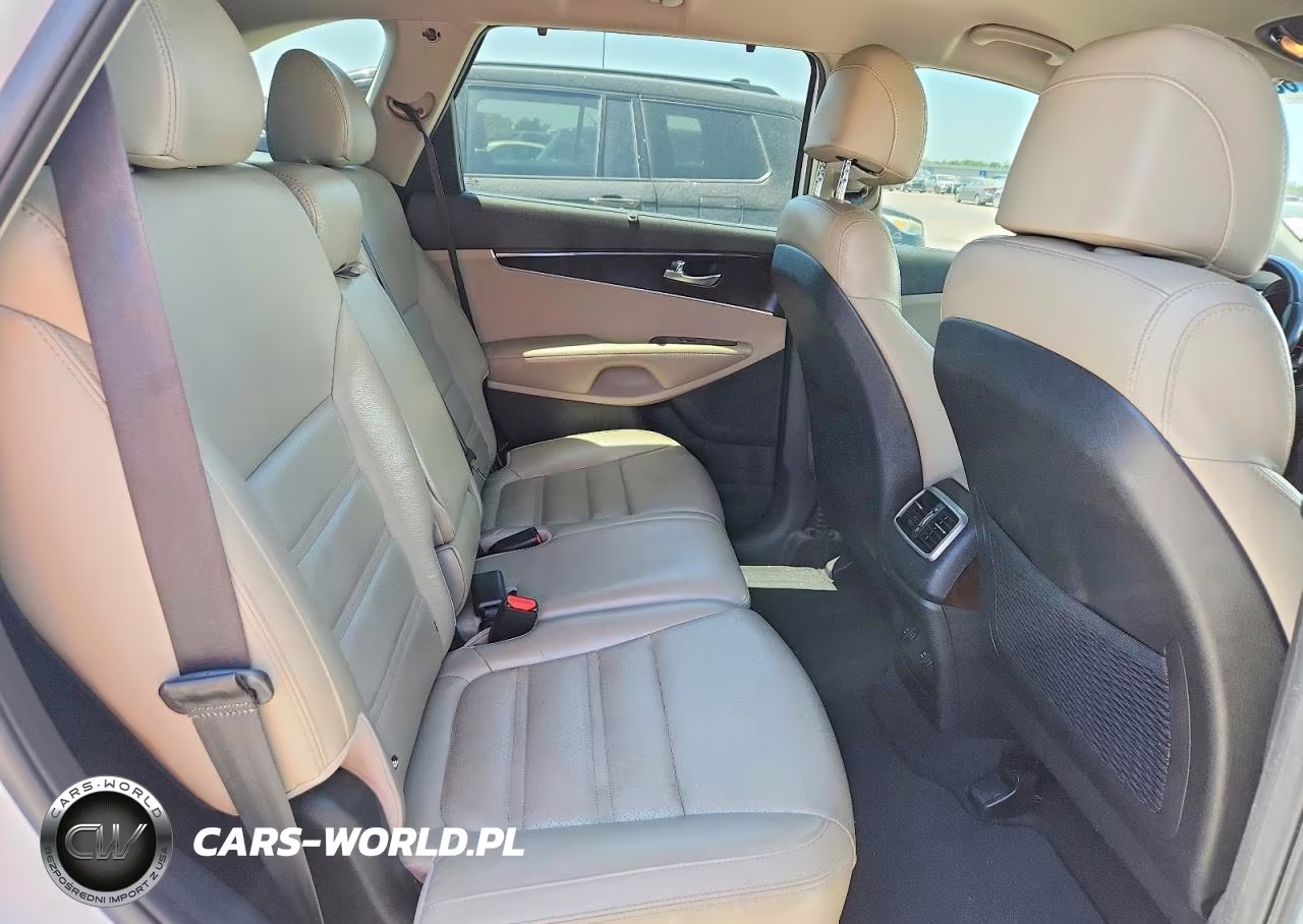 2017 Kia Sorento Ex VIN:5XYPH4A1XHG283857 - 10