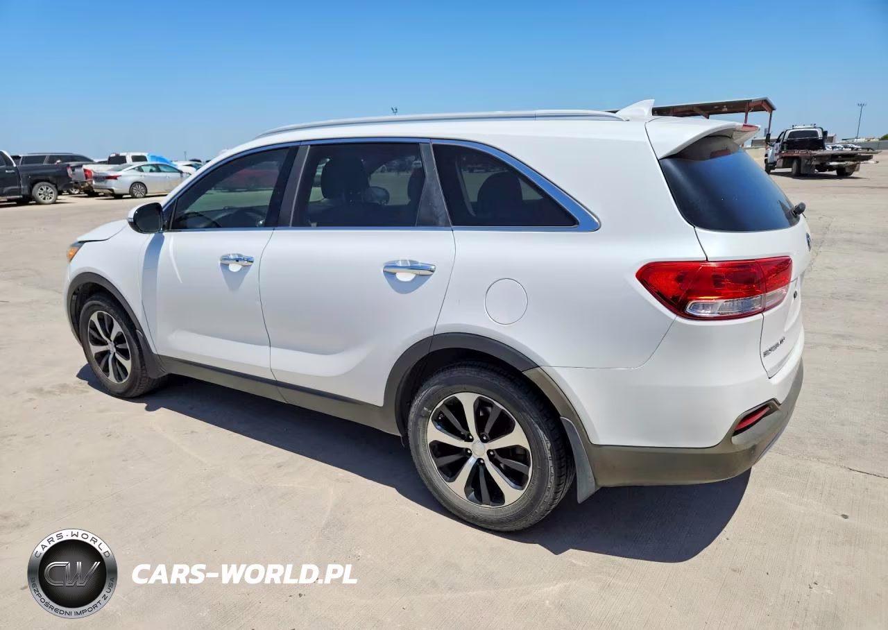2017 Kia Sorento Ex VIN:5XYPH4A1XHG283857 - 2