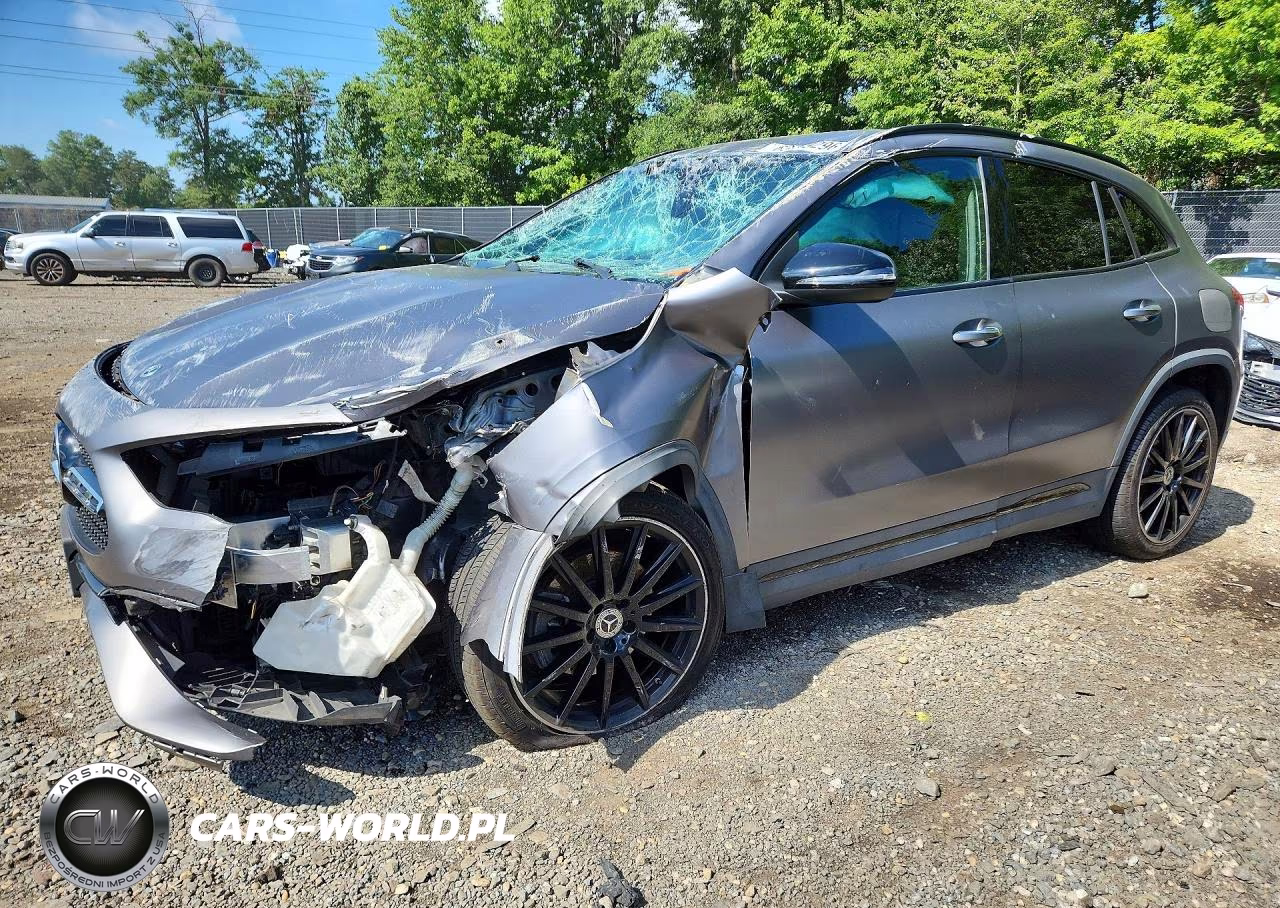 2021 Mercedes-Benz Gla 250 4Matic VIN:W1N4N4HB9MJ225042 - 1