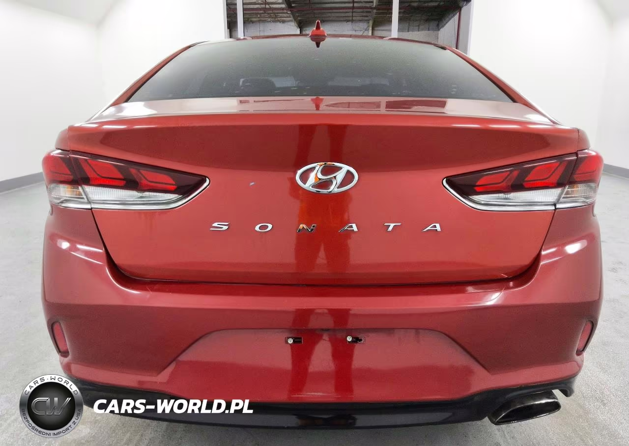 2019 Hyundai Sonata Sel VIN:5NPE34AF6KH749771 - 6