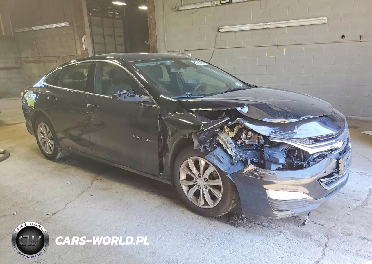 2019 Chevrolet Malibu Lt VIN:1G1ZD5ST3KF198176 - 4