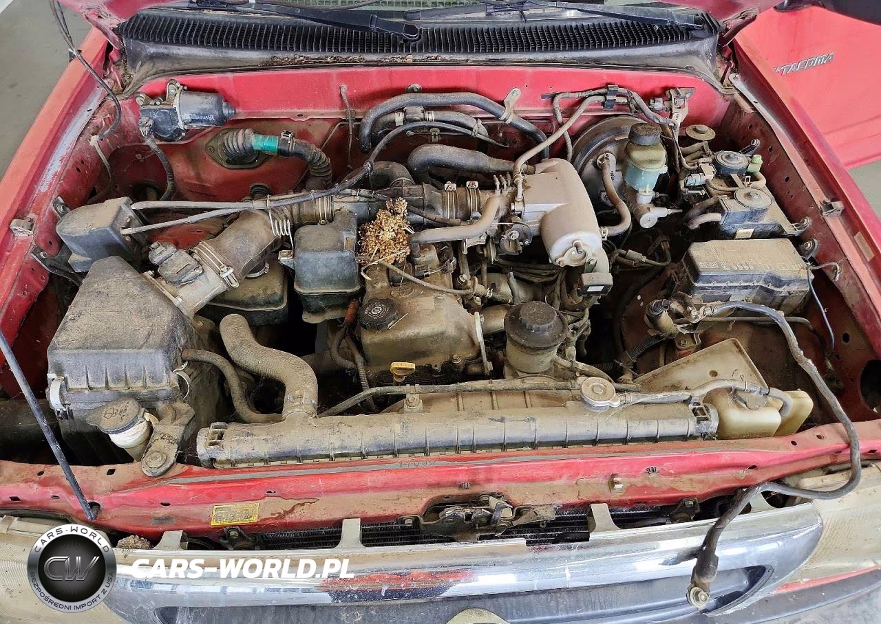 2000 Toyota Tacoma Base VIN:4TAVL52N3YZ659597 - 11
