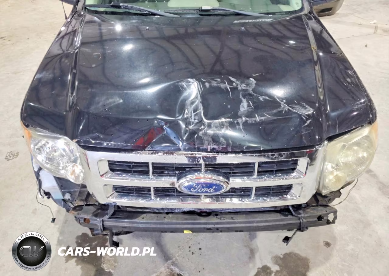 2009 Ford Escape Xlt VIN:1FMCU93G89KB28160 - 12