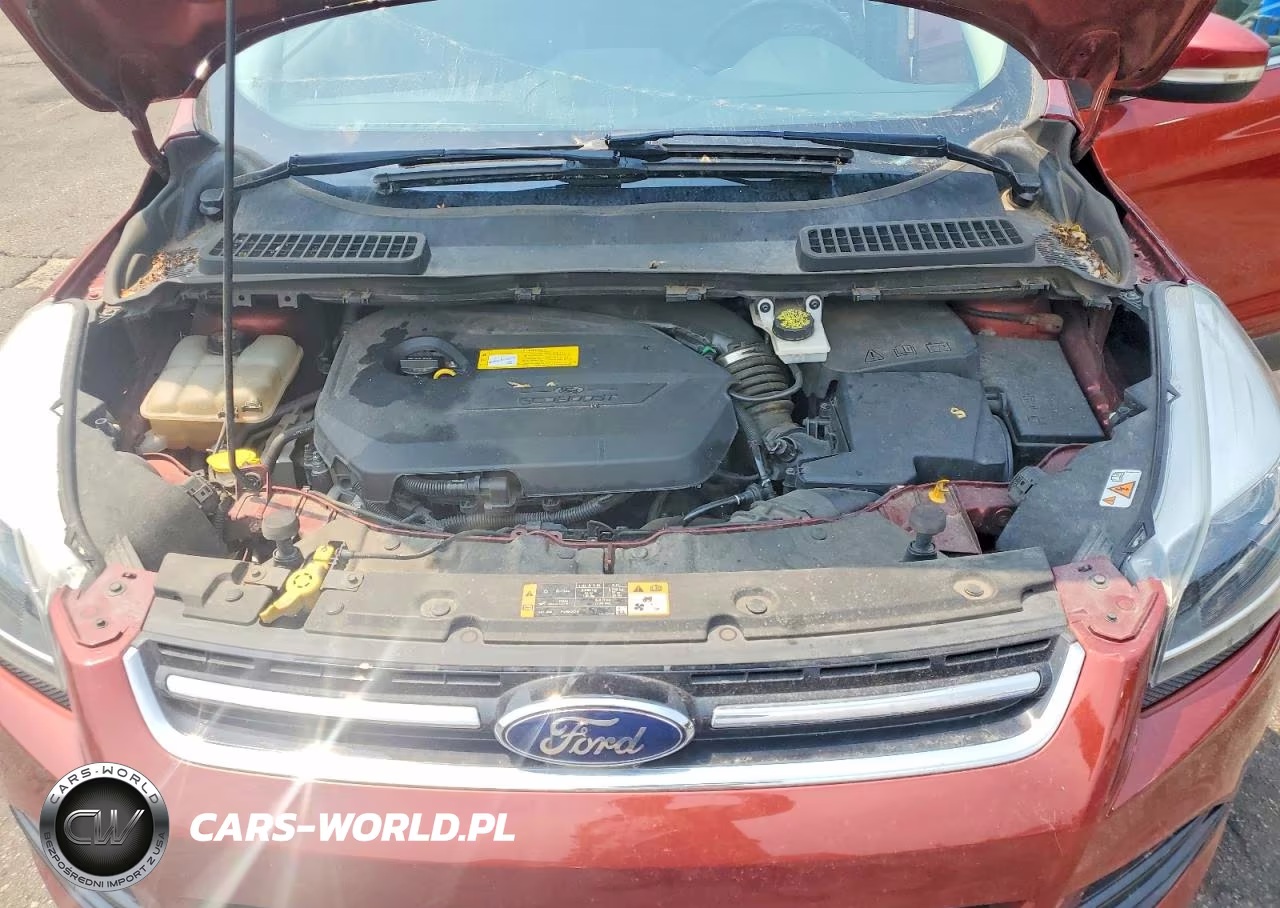 2016 Ford Escape Titanium VIN:1FMCU9JX8GUA65646 - 12