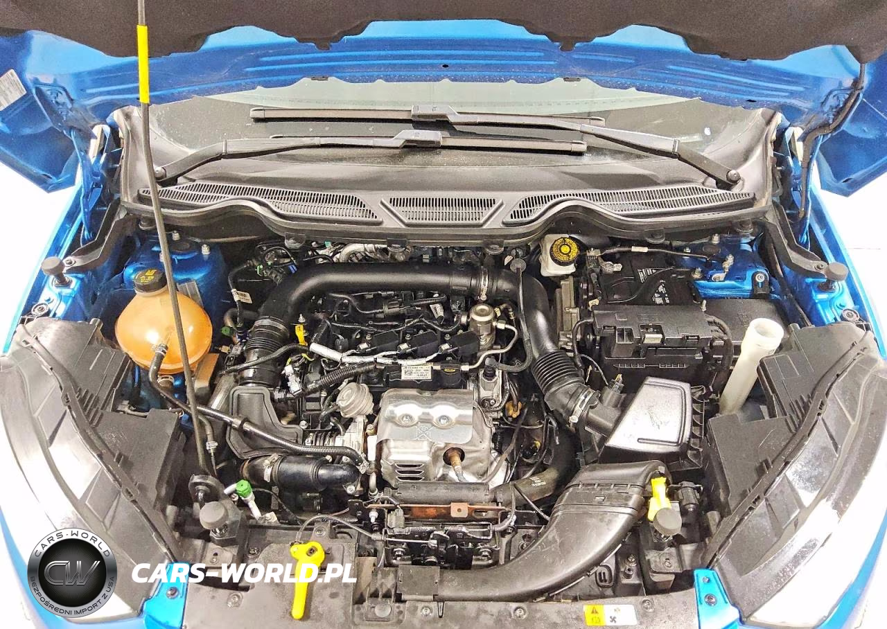 2018 Ford Ecosport Se VIN:MAJ3P1TE2JC199872 - 12