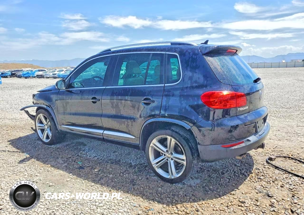 2014 Volkswagen Tiguan S VIN:WVGBV3AX2EW084670 - 2