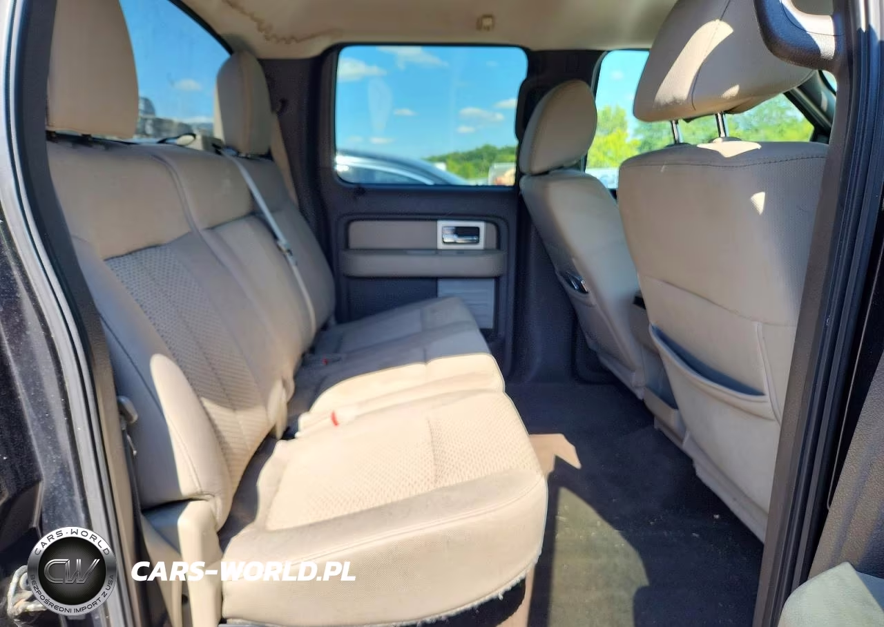 2010 Ford F150 Supercrew VIN:1FTEW1C88AFC57224 - 10