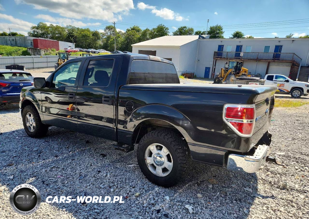 2010 Ford F150 Supercrew VIN:1FTEW1C88AFC57224 - 2