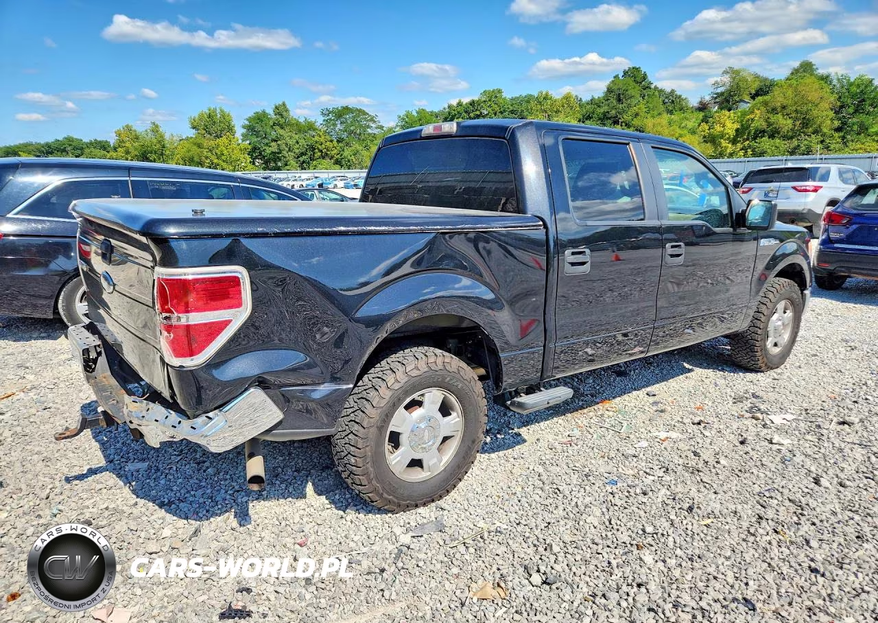 2010 Ford F150 Supercrew VIN:1FTEW1C88AFC57224 - 3