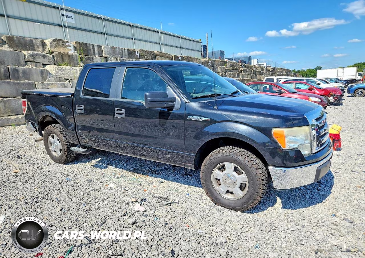 2010 Ford F150 Supercrew VIN:1FTEW1C88AFC57224 - 4