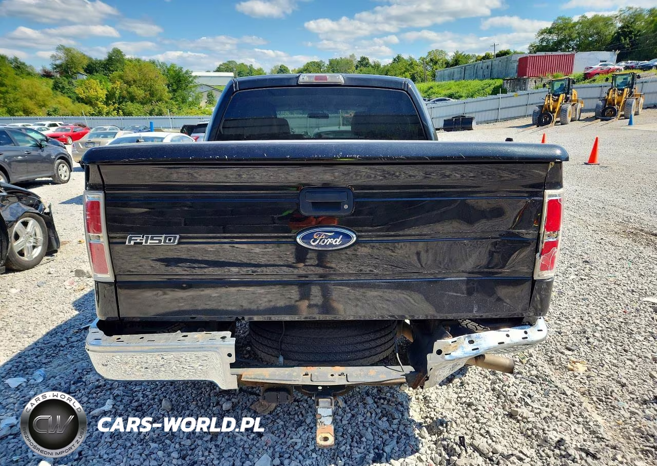 2010 Ford F150 Supercrew VIN:1FTEW1C88AFC57224 - 6