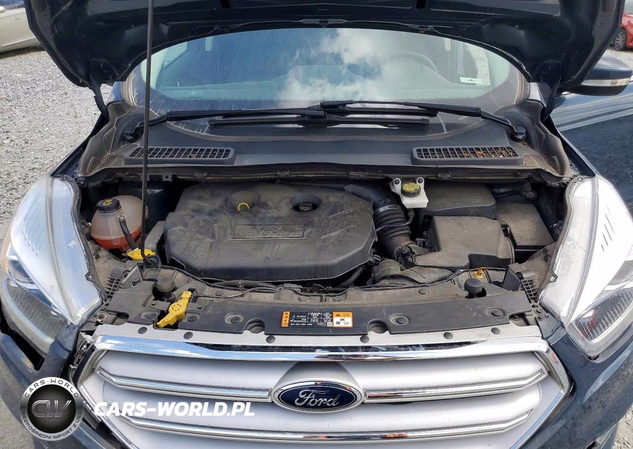 2019 Ford Escape Titanium VIN:1FMCU9J92KUB78728 - 12