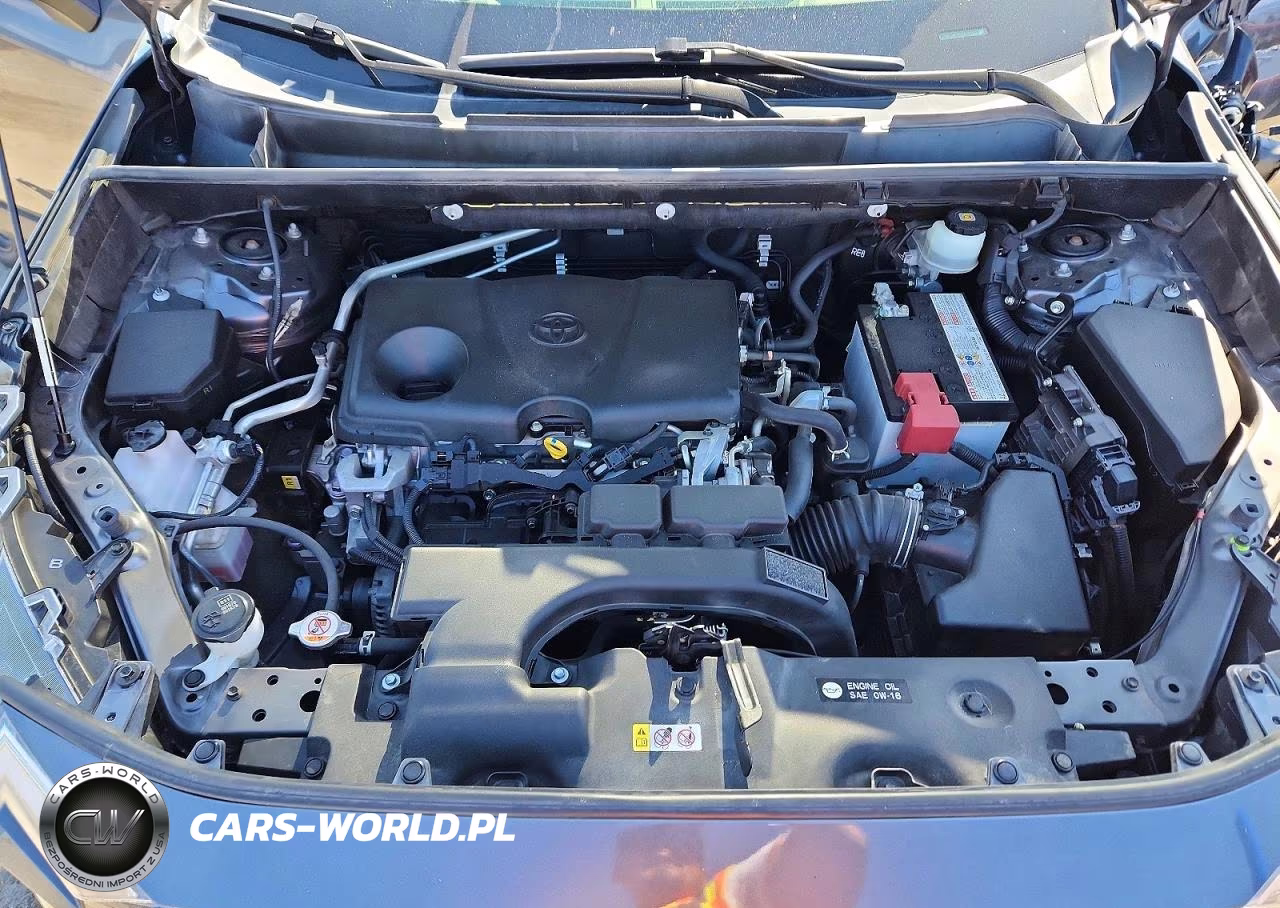 2019 Toyota Rav4 Xle Premium VIN:JTMA1RFVXKD008952 - 12