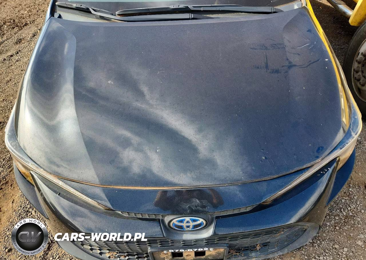 2022 Toyota Corolla VIN:JTDEAMDE5NJ059420 - 11