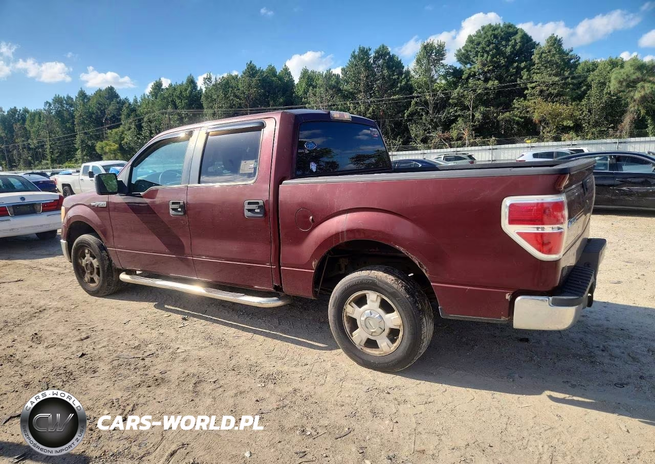 2010 Ford F150 Supercrew VIN:1FTEW1C80AFA69149 - 2