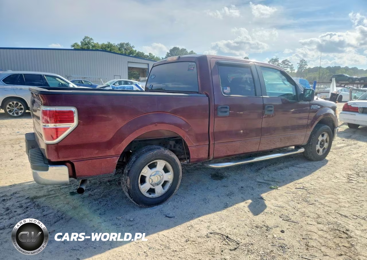 2010 Ford F150 Supercrew VIN:1FTEW1C80AFA69149 - 3