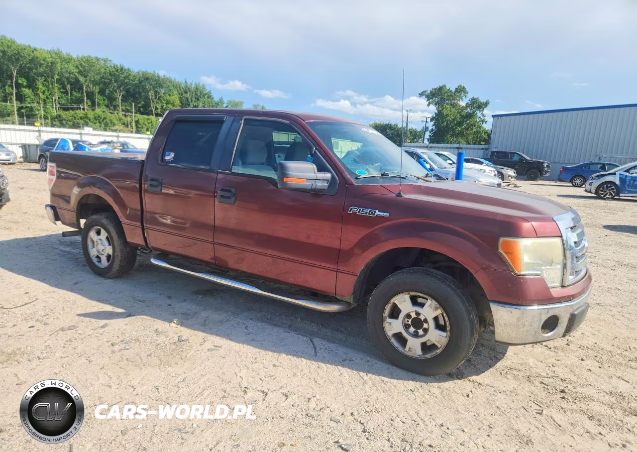 2010 Ford F150 Supercrew VIN:1FTEW1C80AFA69149 - 4