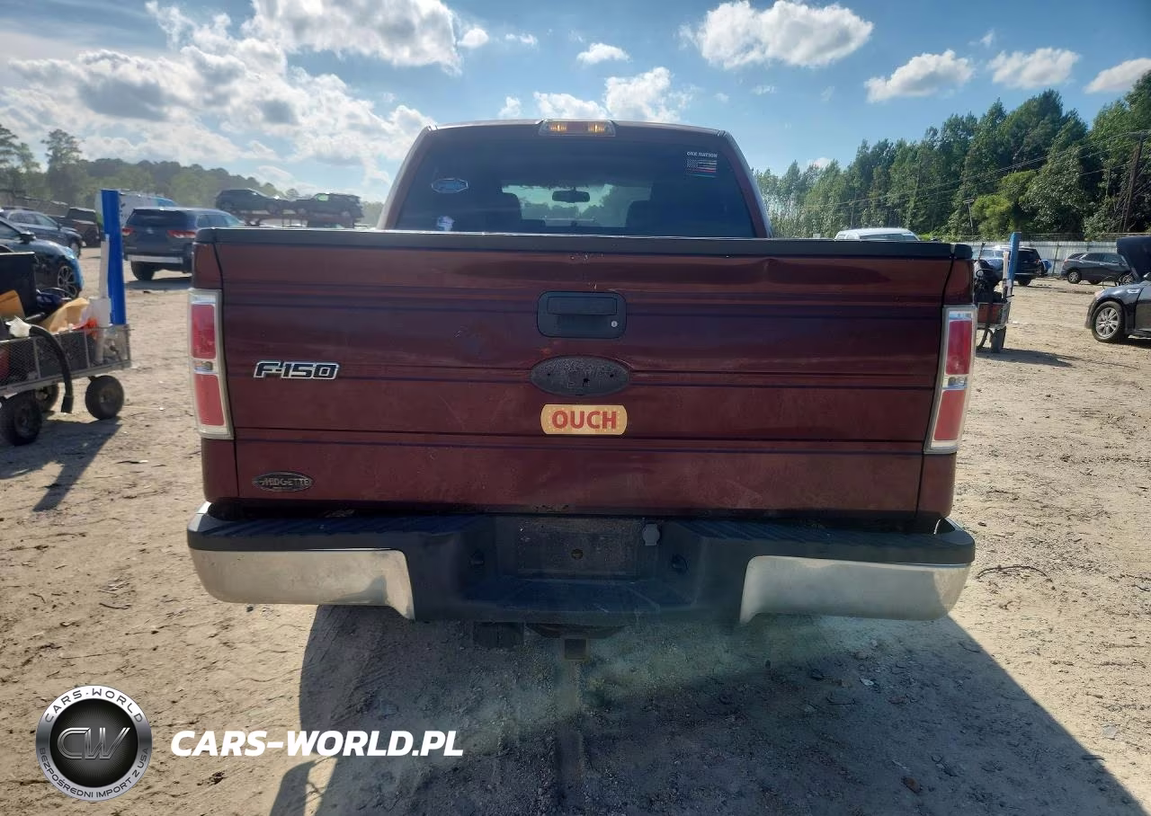 2010 Ford F150 Supercrew VIN:1FTEW1C80AFA69149 - 6