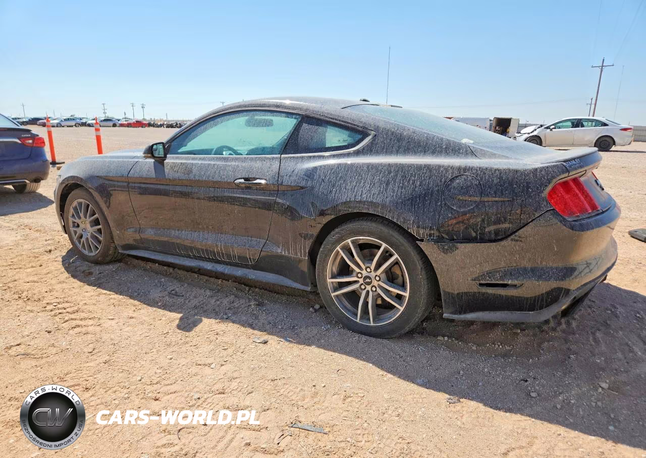 2016 Ford Mustang VIN:1FA6P8TH9G5309894 - 2