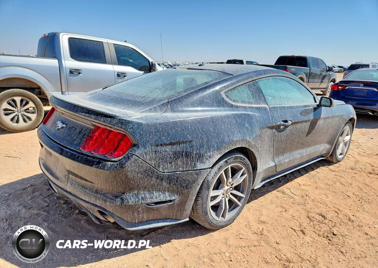 2016 Ford Mustang VIN:1FA6P8TH9G5309894 - 3