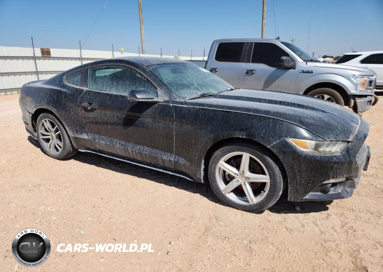 2016 Ford Mustang VIN:1FA6P8TH9G5309894 - 4