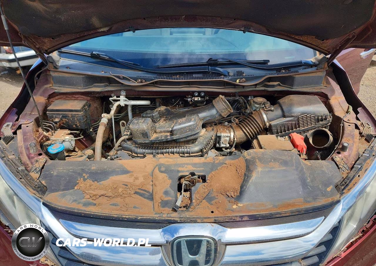 2020 Honda Odyssey VIN:5FNRL6H54LB004561 - 12