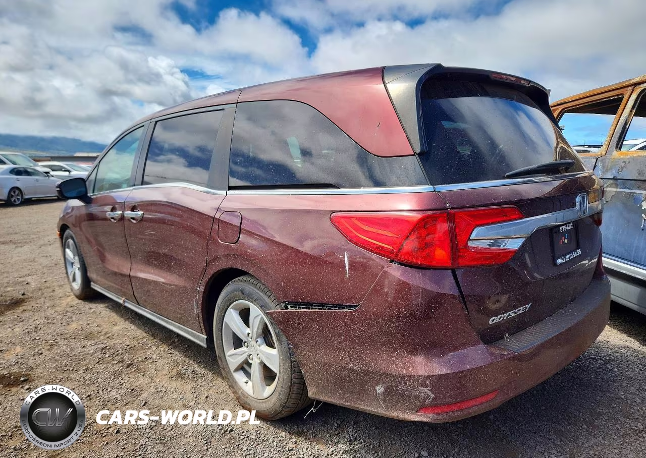 2020 Honda Odyssey VIN:5FNRL6H54LB004561 - 2