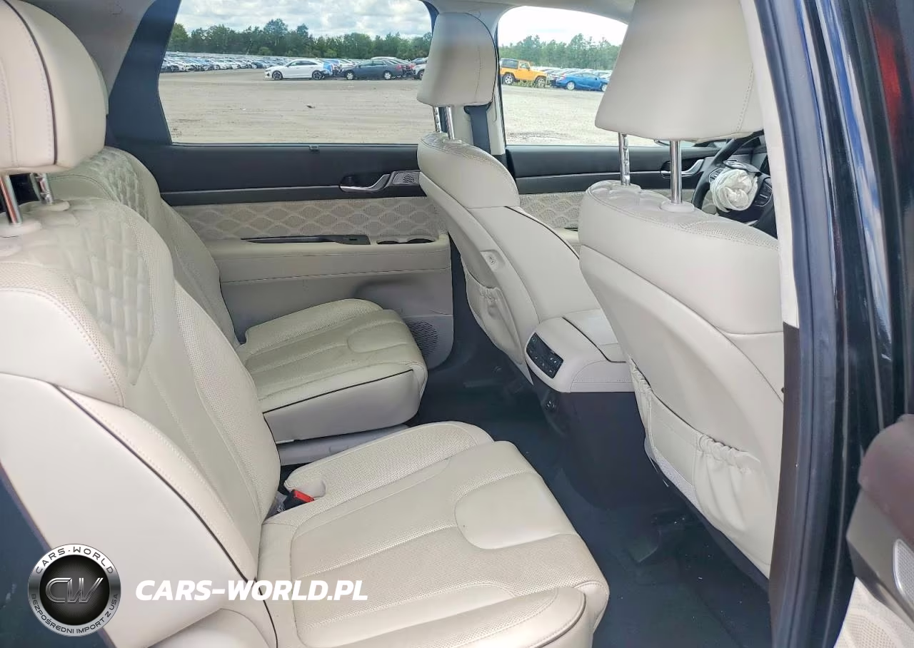2020 Hyundai Palisade Limited VIN:KM8R5DHE8LU148986 - 11