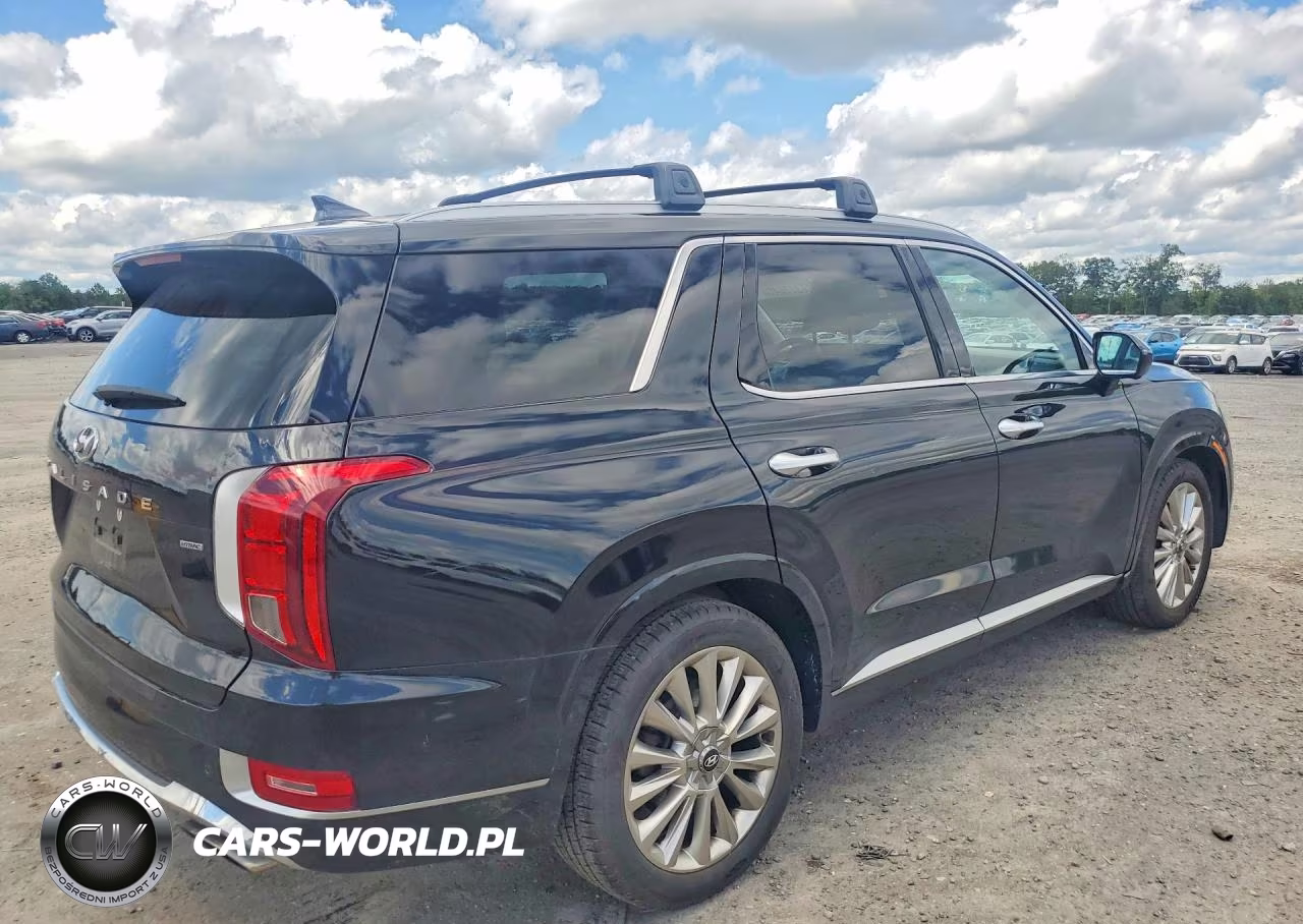 2020 Hyundai Palisade Limited VIN:KM8R5DHE8LU148986 - 3