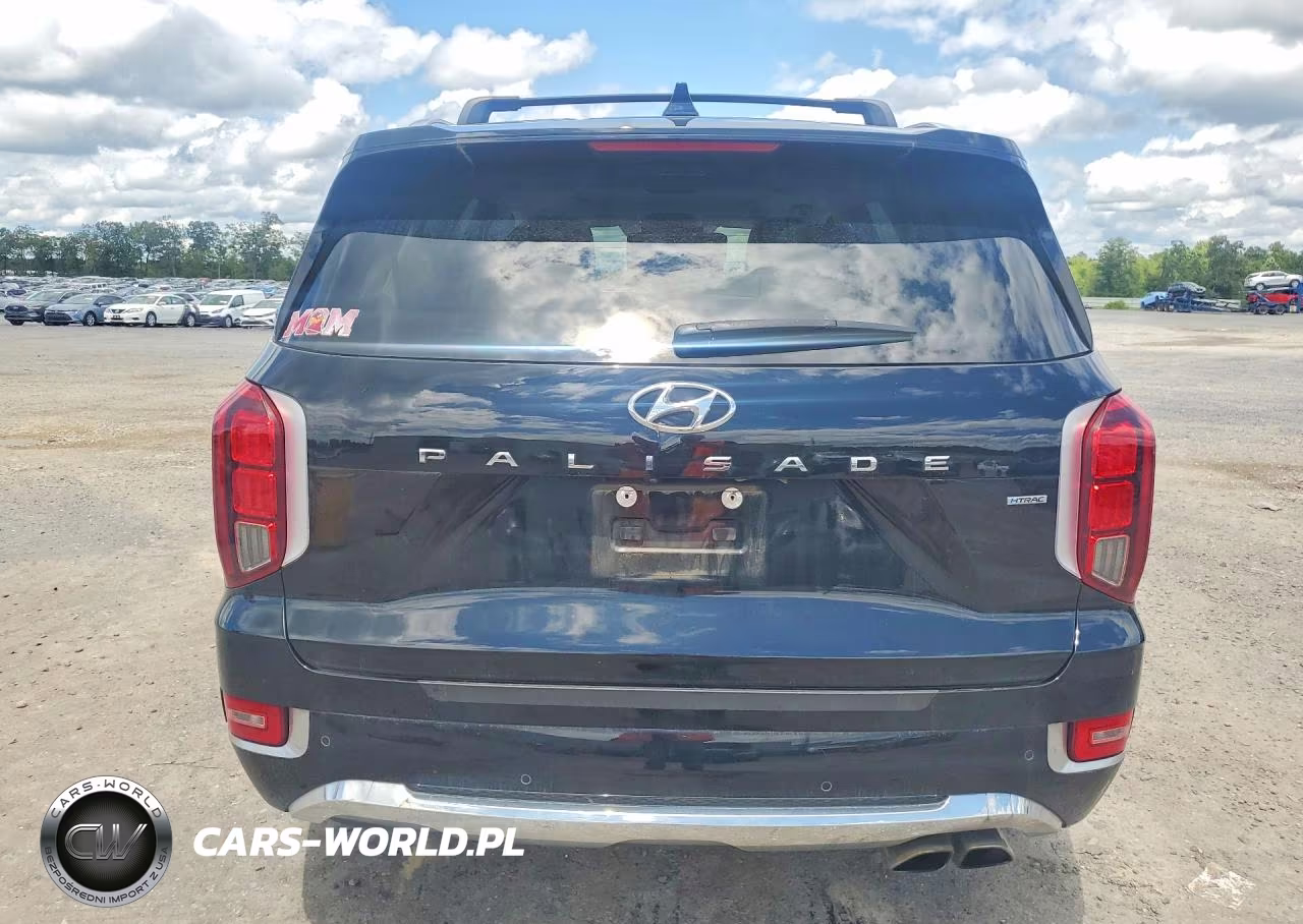 2020 Hyundai Palisade Limited VIN:KM8R5DHE8LU148986 - 6