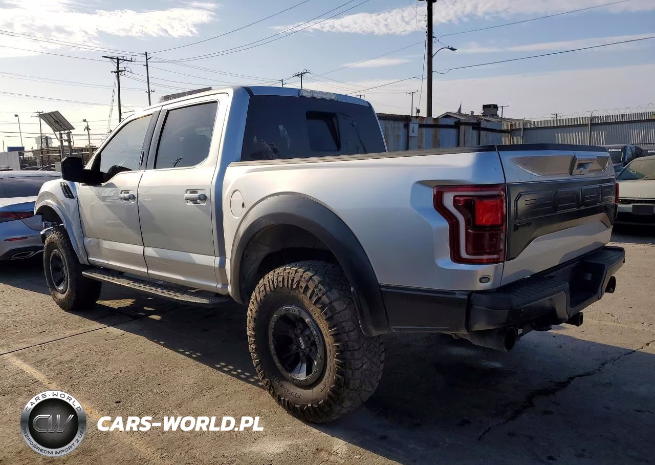 2017 Ford F-150 Raptor VIN:1FTFW1RG8HFC50397 - 2