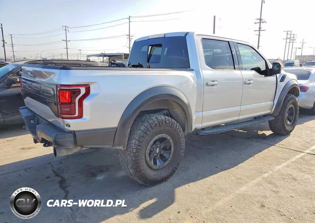 2017 Ford F-150 Raptor VIN:1FTFW1RG8HFC50397 - 3