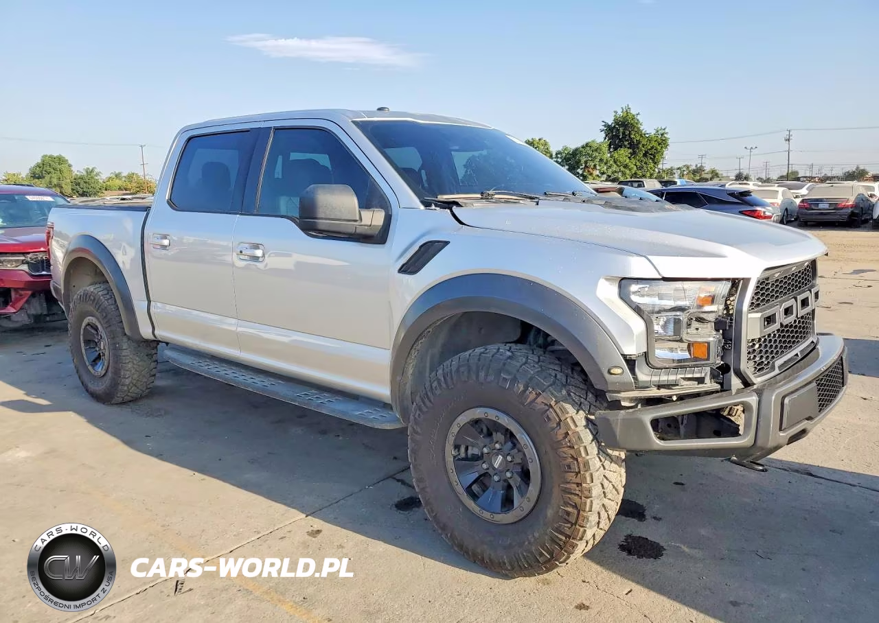 2017 Ford F-150 Raptor VIN:1FTFW1RG8HFC50397 - 4