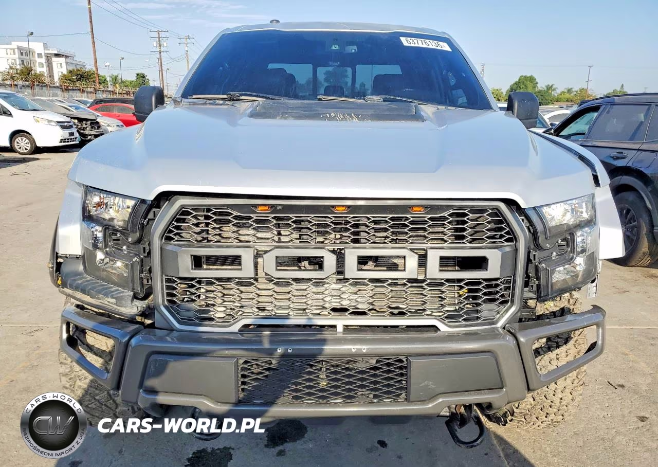 2017 Ford F-150 Raptor VIN:1FTFW1RG8HFC50397 - 5