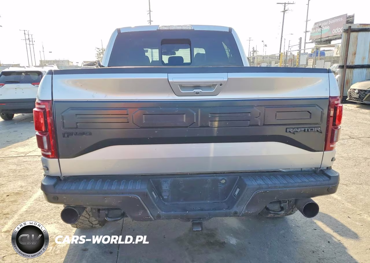 2017 Ford F-150 Raptor VIN:1FTFW1RG8HFC50397 - 6