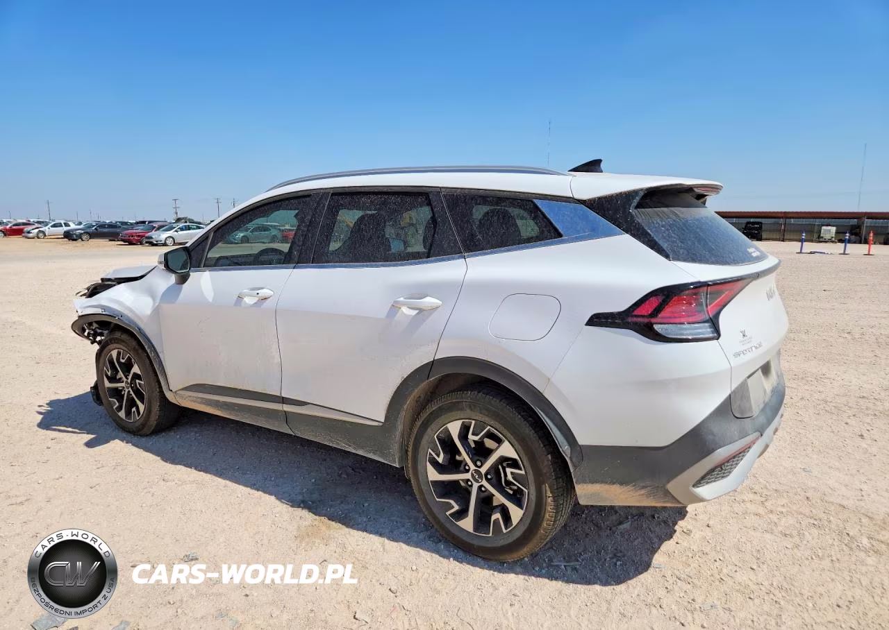 2024 Kia Sportage Ex VIN:5XYK3CDF5RG207801 - 2