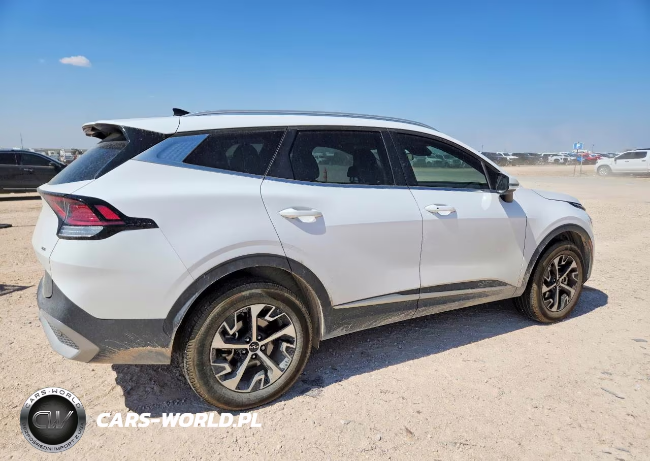 2024 Kia Sportage Ex VIN:5XYK3CDF5RG207801 - 3