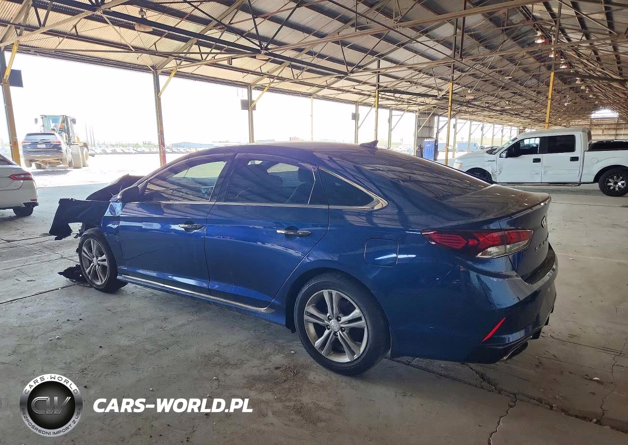 2019 Hyundai Sonata Sport VIN:5NPE34AF3KH799477 - 2