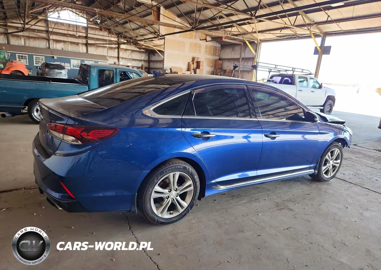 2019 Hyundai Sonata Sport VIN:5NPE34AF3KH799477 - 3