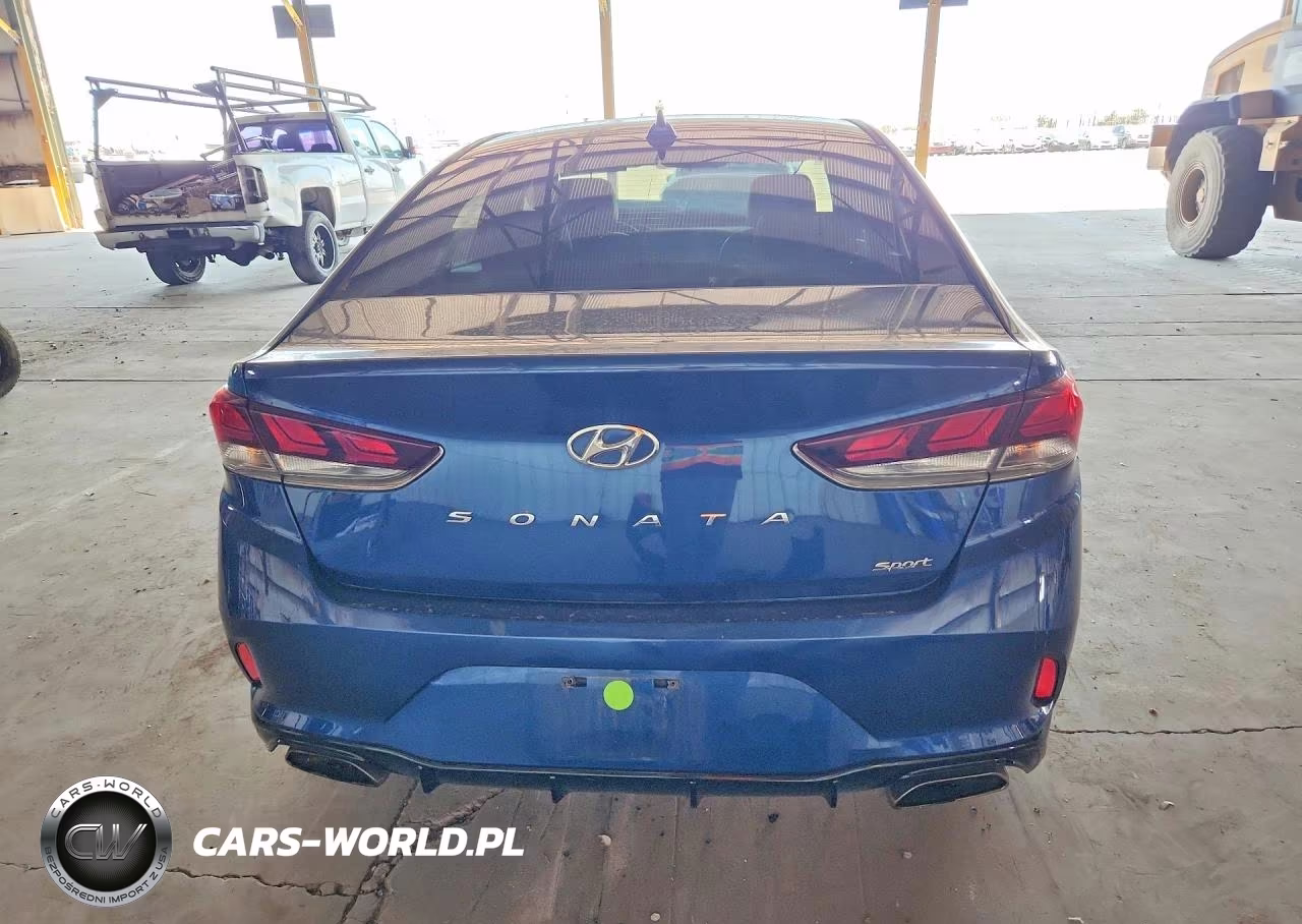 2019 Hyundai Sonata Sport VIN:5NPE34AF3KH799477 - 6