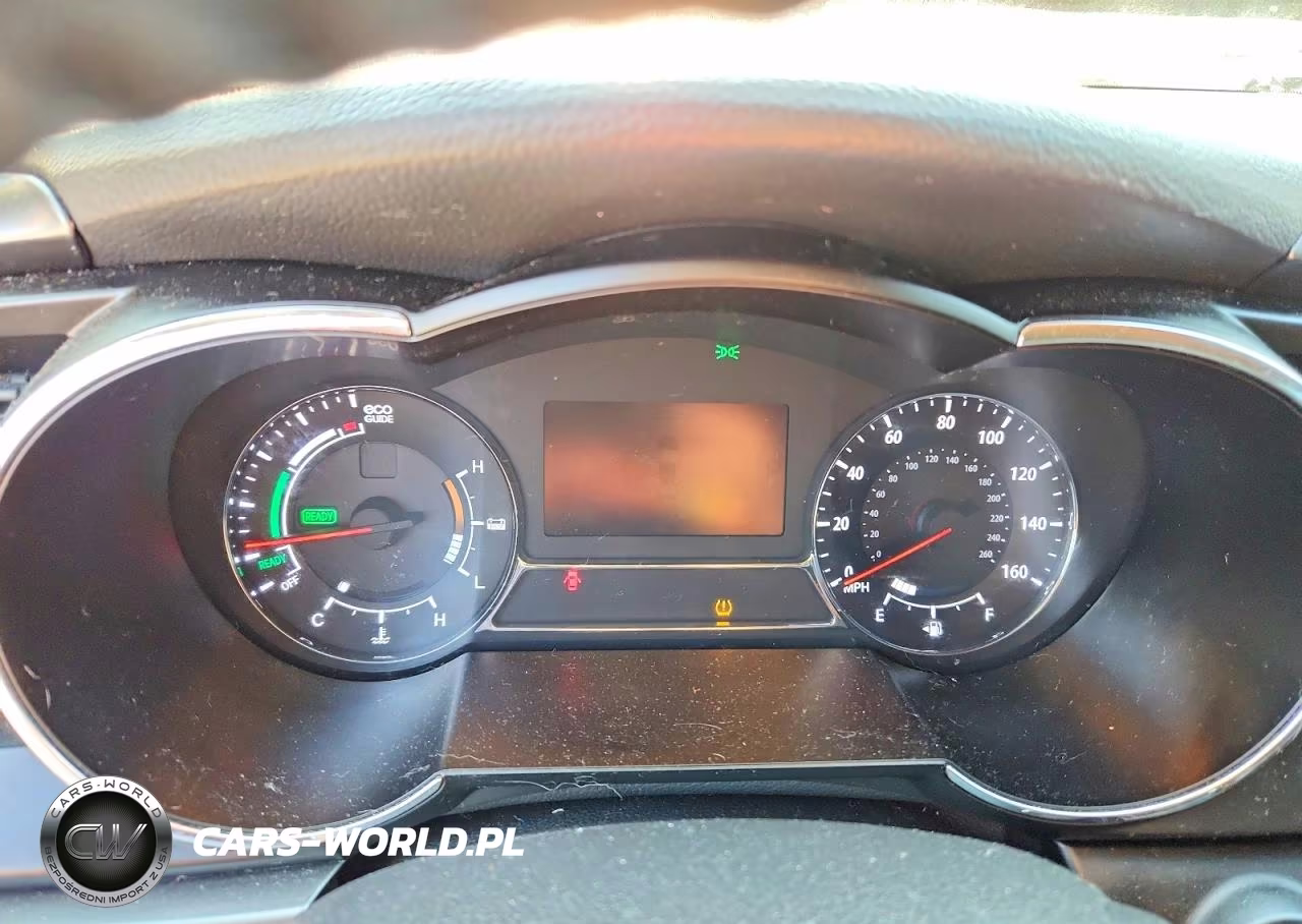 2012 Kia Optima Hybrid VIN:KNAGM4AD1C5019771 - 9