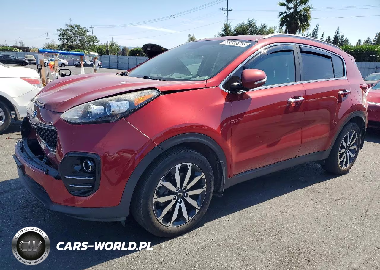2019 Kia Sportage Ex VIN:KNDPN3AC5K7513071 - 1