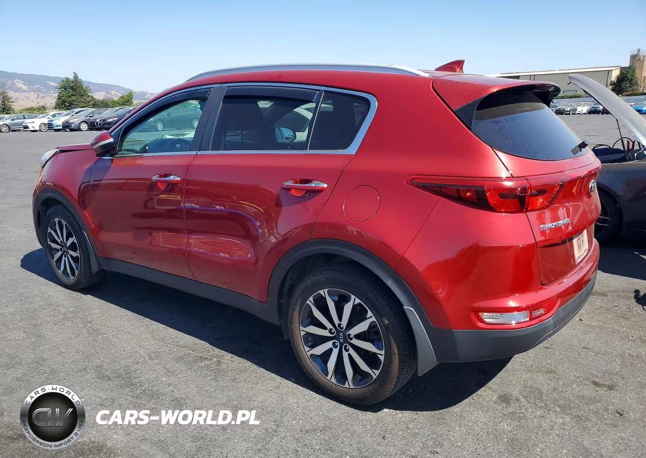 2019 Kia Sportage Ex VIN:KNDPN3AC5K7513071 - 2