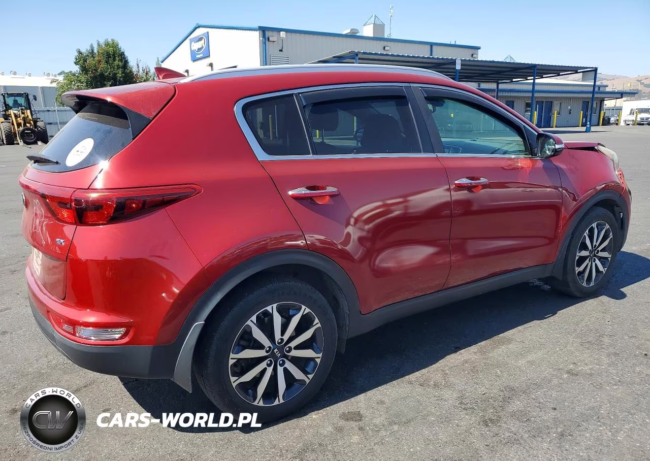 2019 Kia Sportage Ex VIN:KNDPN3AC5K7513071 - 3