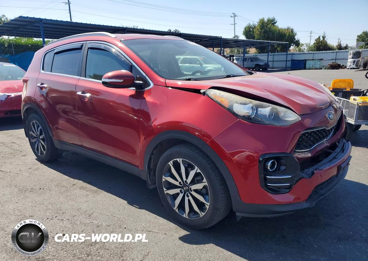 2019 Kia Sportage Ex VIN:KNDPN3AC5K7513071 - 4