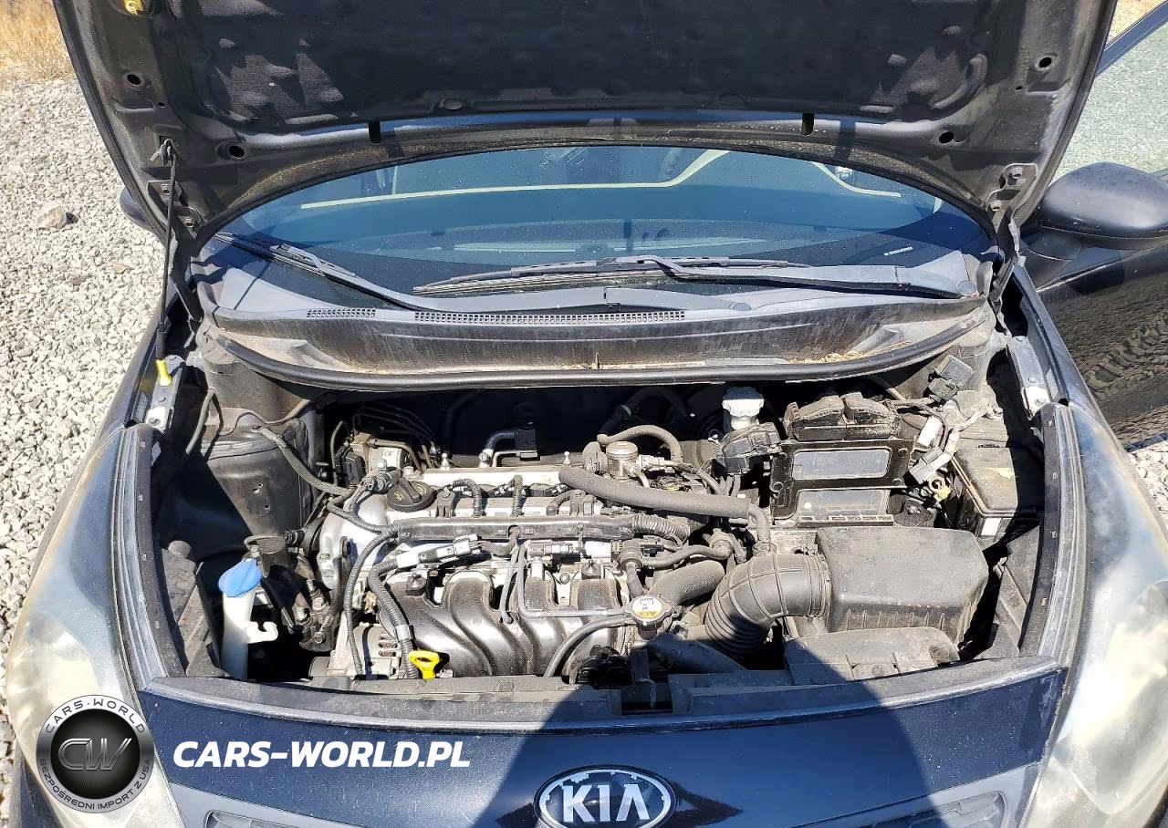 2014 Kia Rio Lx VIN:KNADM4A34E6333518 - 11